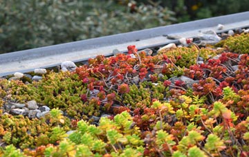 the cost of Great Sturton green roof installation