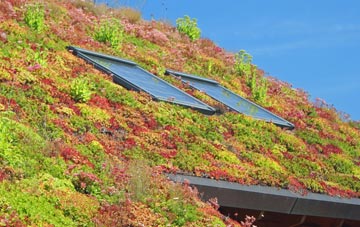 Great Sturton living roof systems