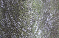 Great Sturton fibreglass roof work